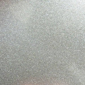 Polaris Turbo Silver Powdercoating